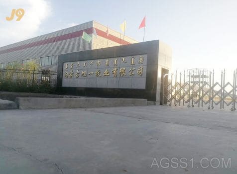 厂区环境