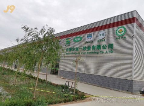 厂区环境