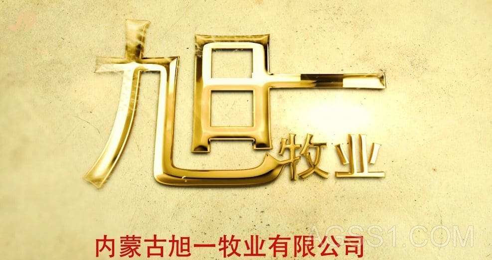 企业宣传片
